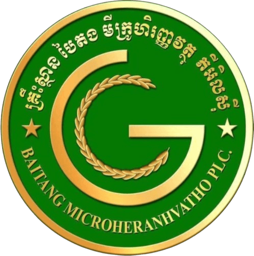 Baitang Microheranhvatho Plc.
